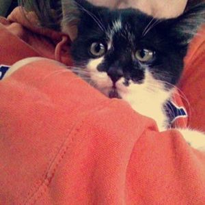 Meet your Posher, Penny